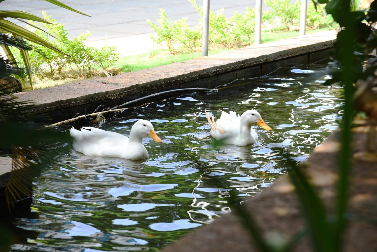 Royal Orchid Suites Whitefield Bangalore Exteriör bild
